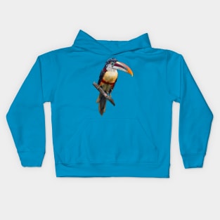 Curl-Crested Aracari Kids Hoodie